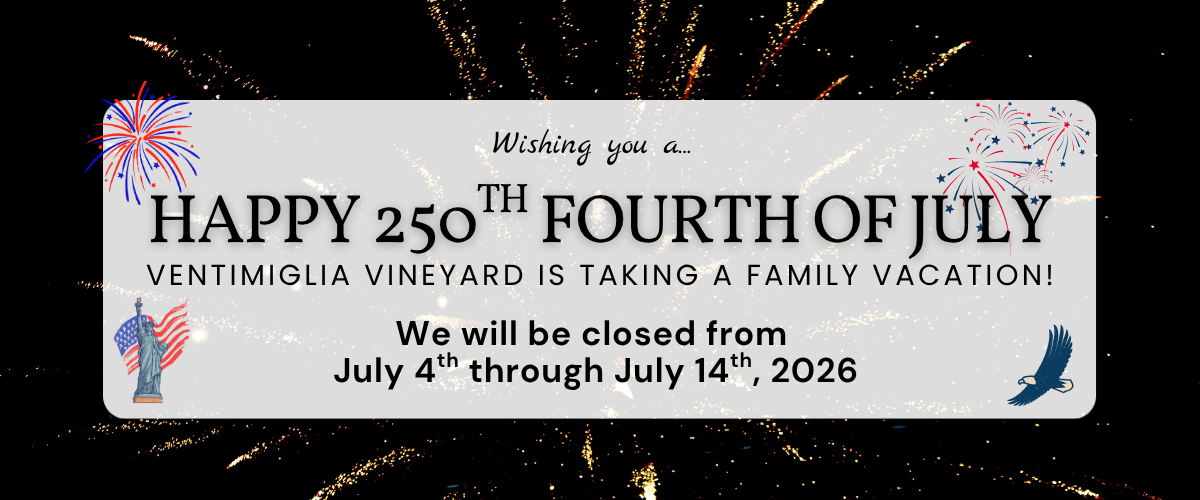 July 4 2026